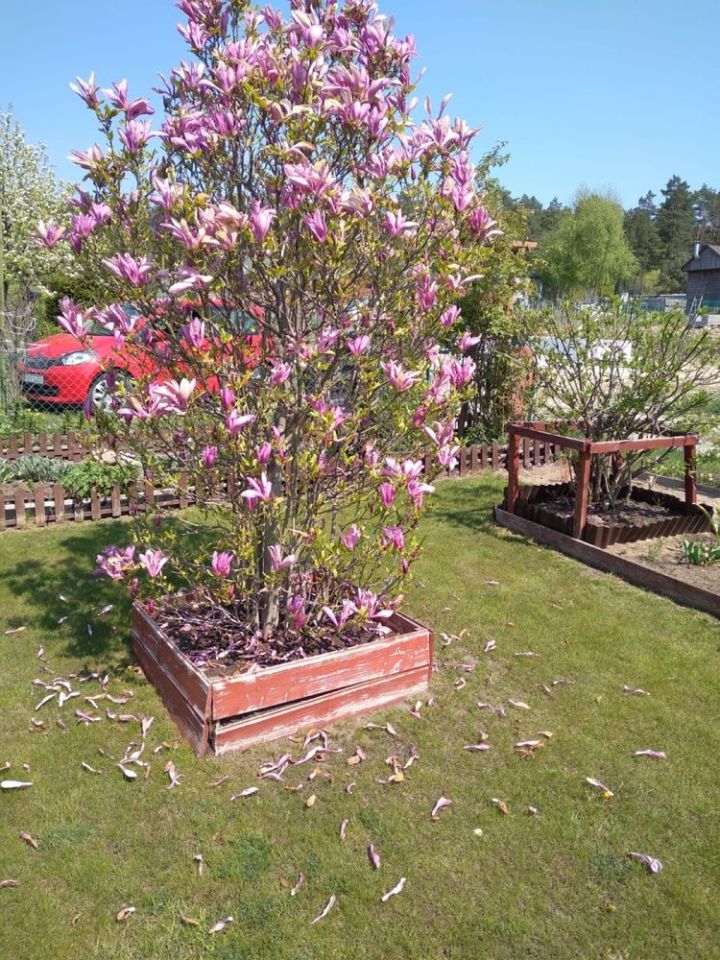 Działka rod Zielona Góra Nowy Kisielin. Zdjęcie 4