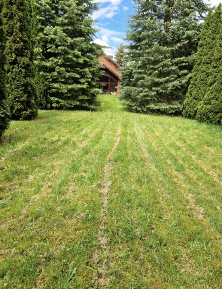 siedlisko, 6 pokoi Brąswałd. Zdjęcie 4