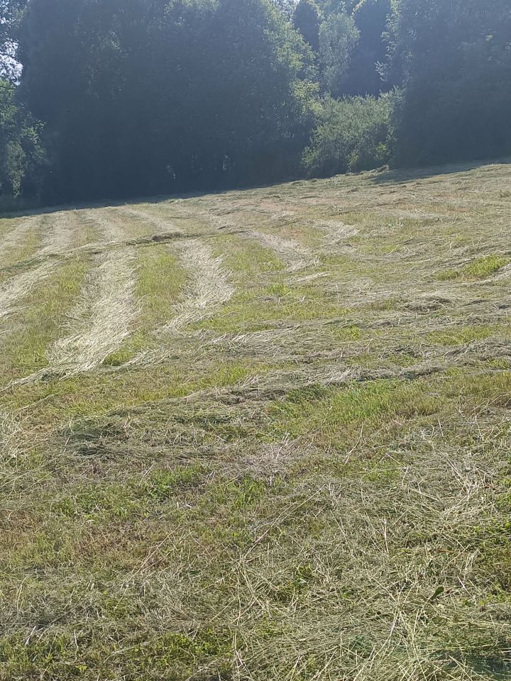 Działka budowlana Białka. Zdjęcie 5