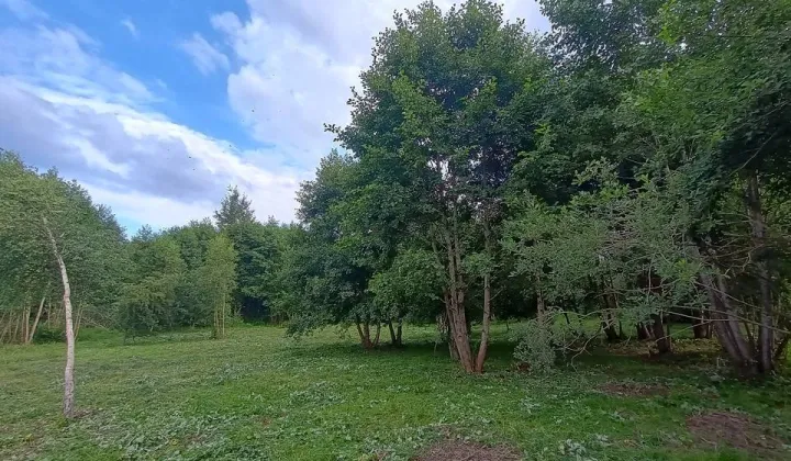 Działka Swobodna