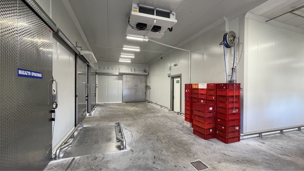 Działka inwestycyjna Wolkowo. Zdjęcie 7