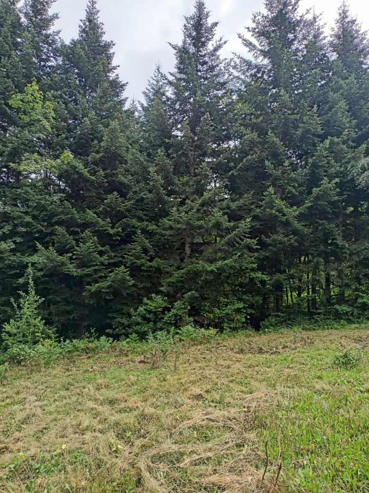 Działka budowlana Bieśnik. Zdjęcie 4