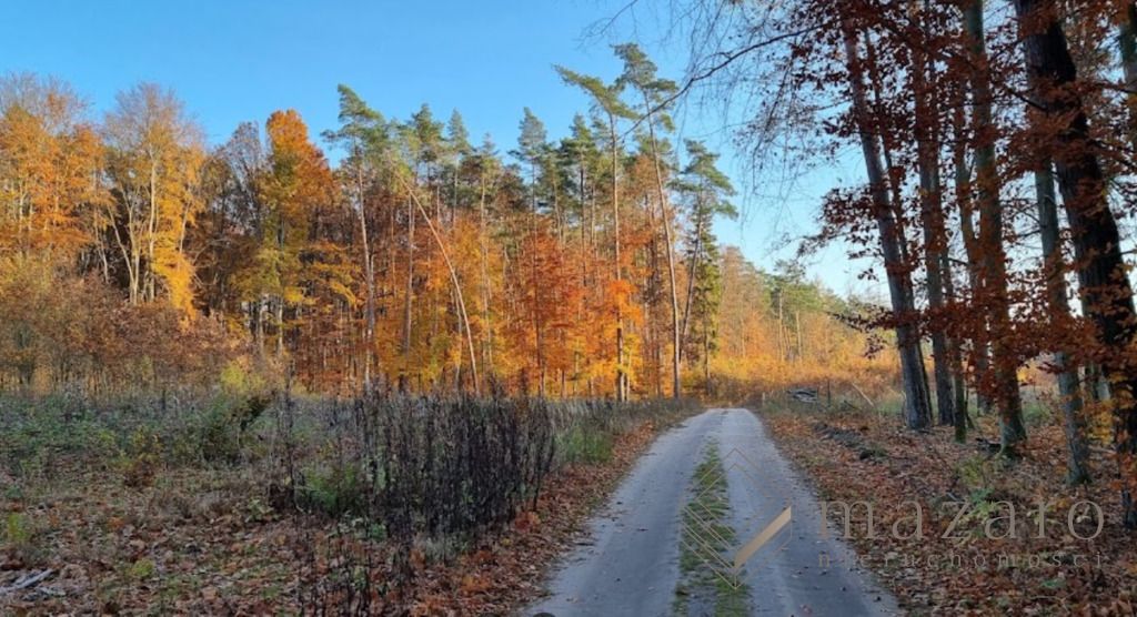 Działka rolna Drogosław