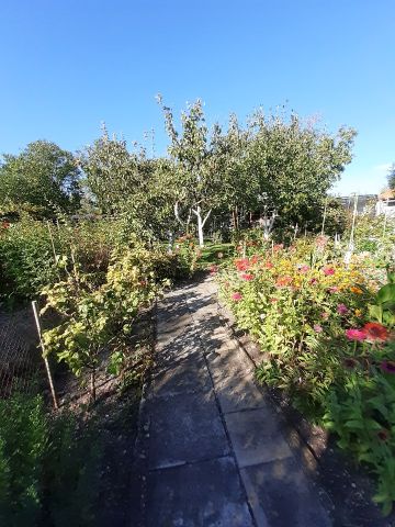 Działka rod Opole Armii Krajowej, ul. Kazimierza Sosnkowskiego. Zdjęcie 1