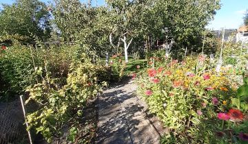 Działka rod Opole Armii Krajowej, ul. Kazimierza Sosnkowskiego