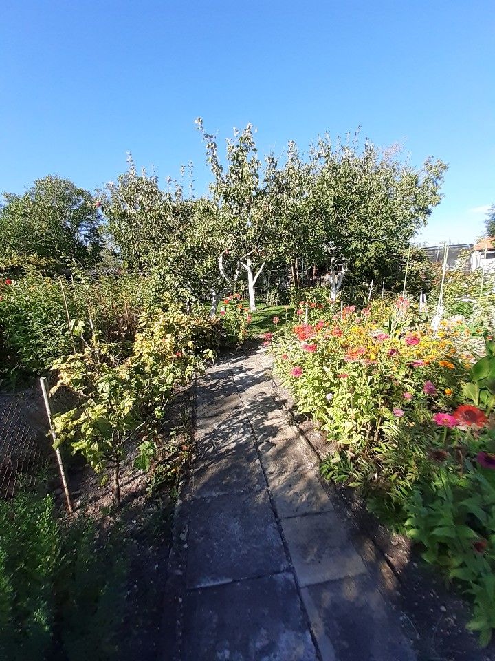 Działka rod Opole Armii Krajowej, ul. Kazimierza Sosnkowskiego