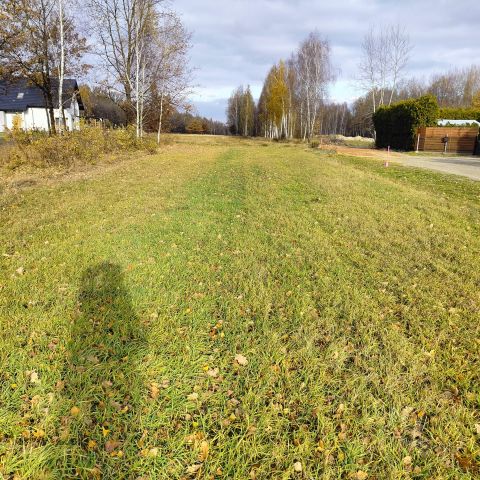 Działka budowlana Czarna Sędziszowska Podleśnictwo. Zdjęcie 1