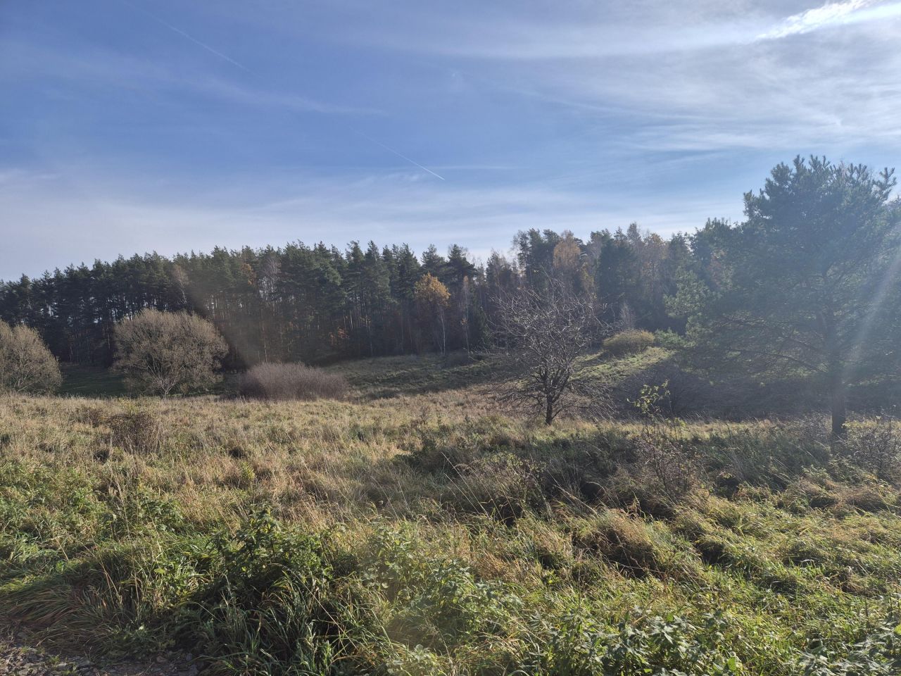 Działka budowlana Pomlewo, ul. Sosnowa. Zdjęcie 2