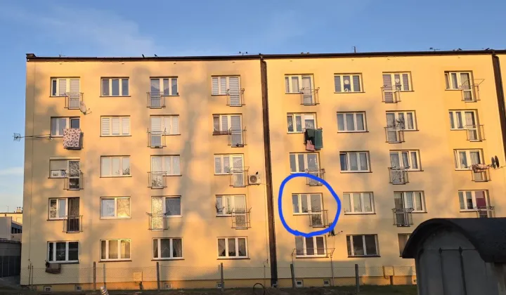 Mieszkanie 3-pokojowe Jastrzębie-Zdrój, os. 1000-lecia