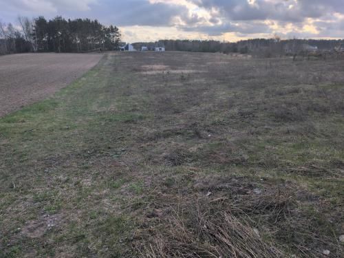 Działka budowlana Ciechocinek, ul. Sportowa. Zdjęcie 1