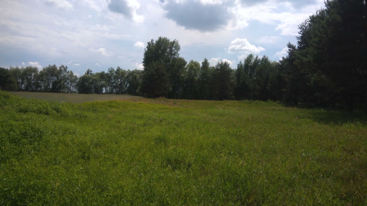 Działka rolno-budowlana Korzeń Królewski. Zdjęcie 4