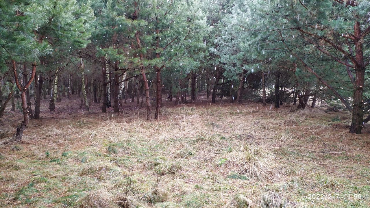 Działka rolna Bocheniec. Zdjęcie 7