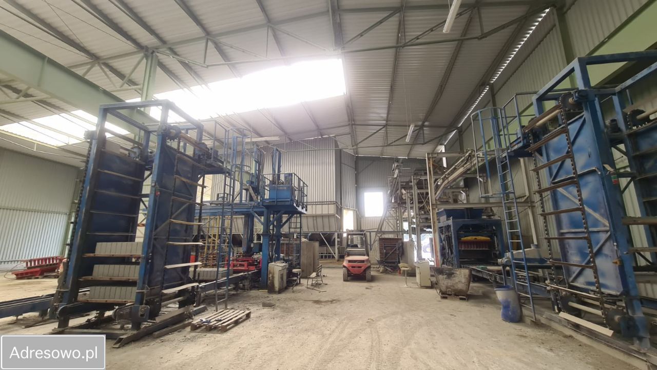 Hala/magazyn Mrozy, ul. Nadrzeczna. Zdjęcie 19