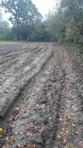 Działka rolna Rąbino. Zdjęcie 1