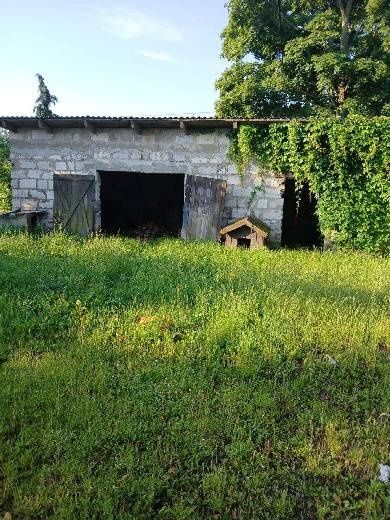 Działka rolno-budowlana Załuski. Zdjęcie 3