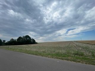 Działka rolna Rokitno. Zdjęcie 4