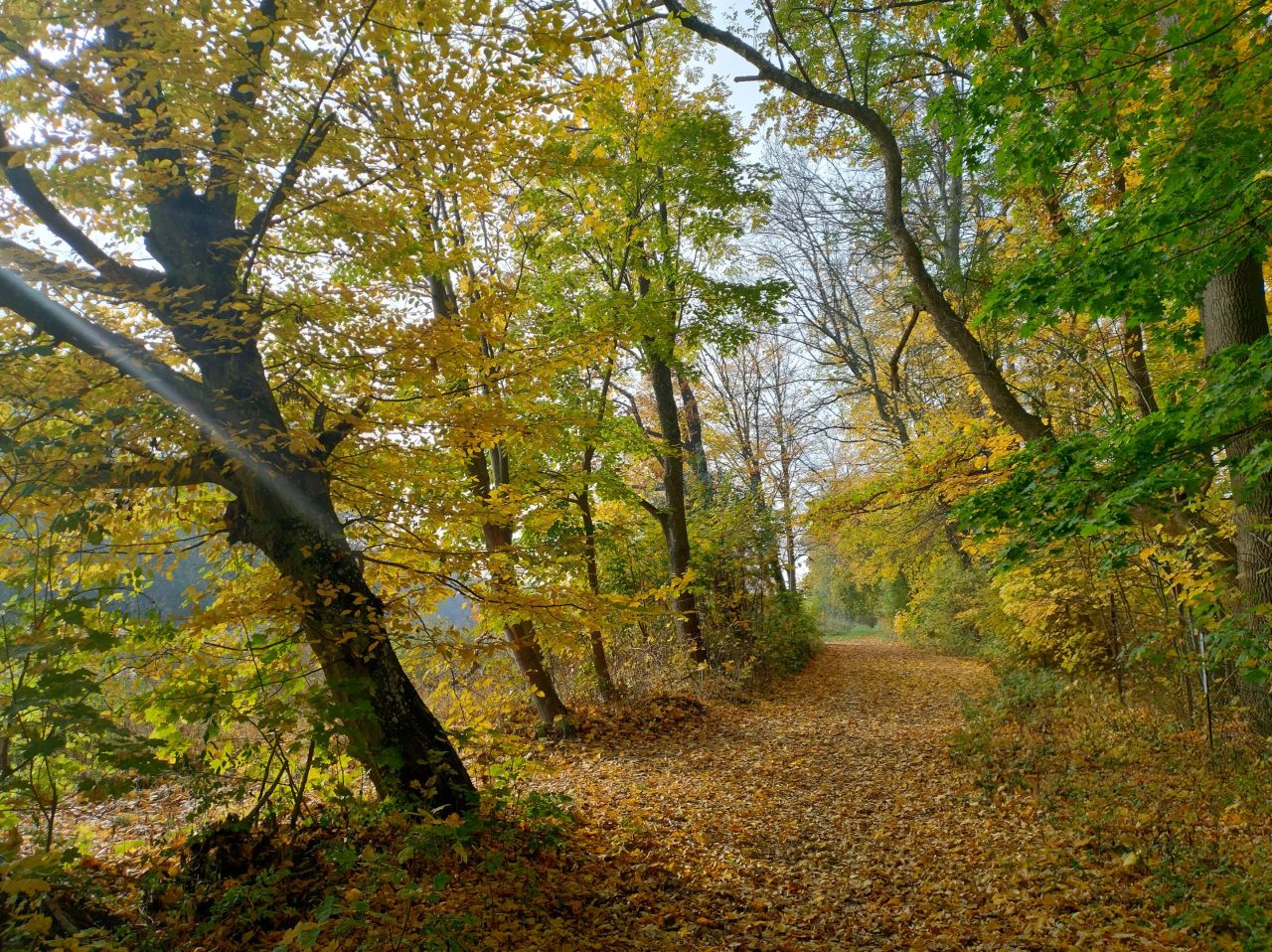 Działka budowlana Redzikowo, ul. Klonowa. Zdjęcie 8