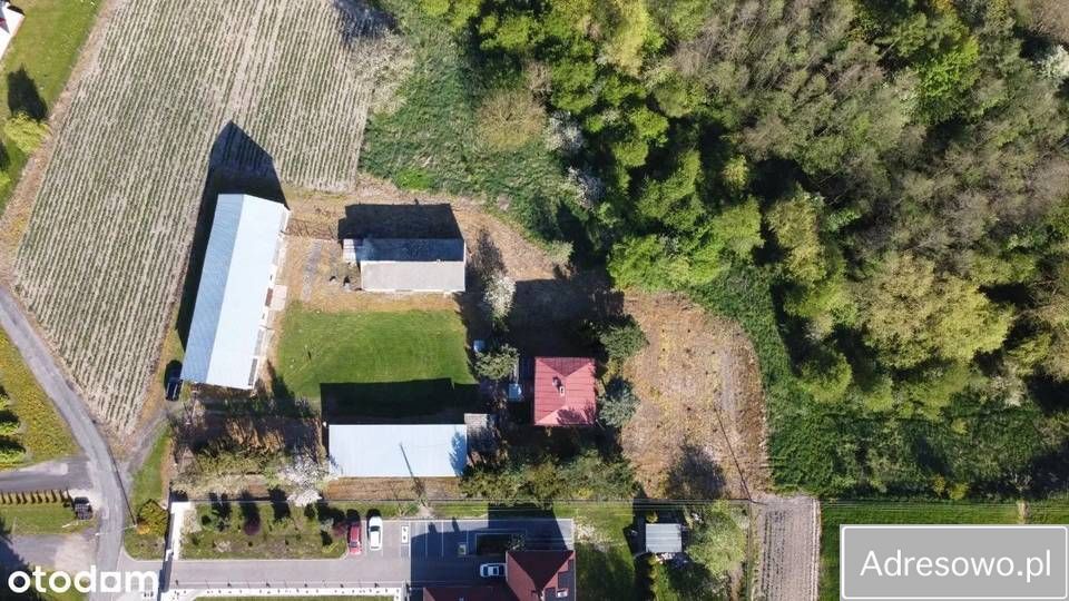 Działka budowlana Kijany. Zdjęcie 8