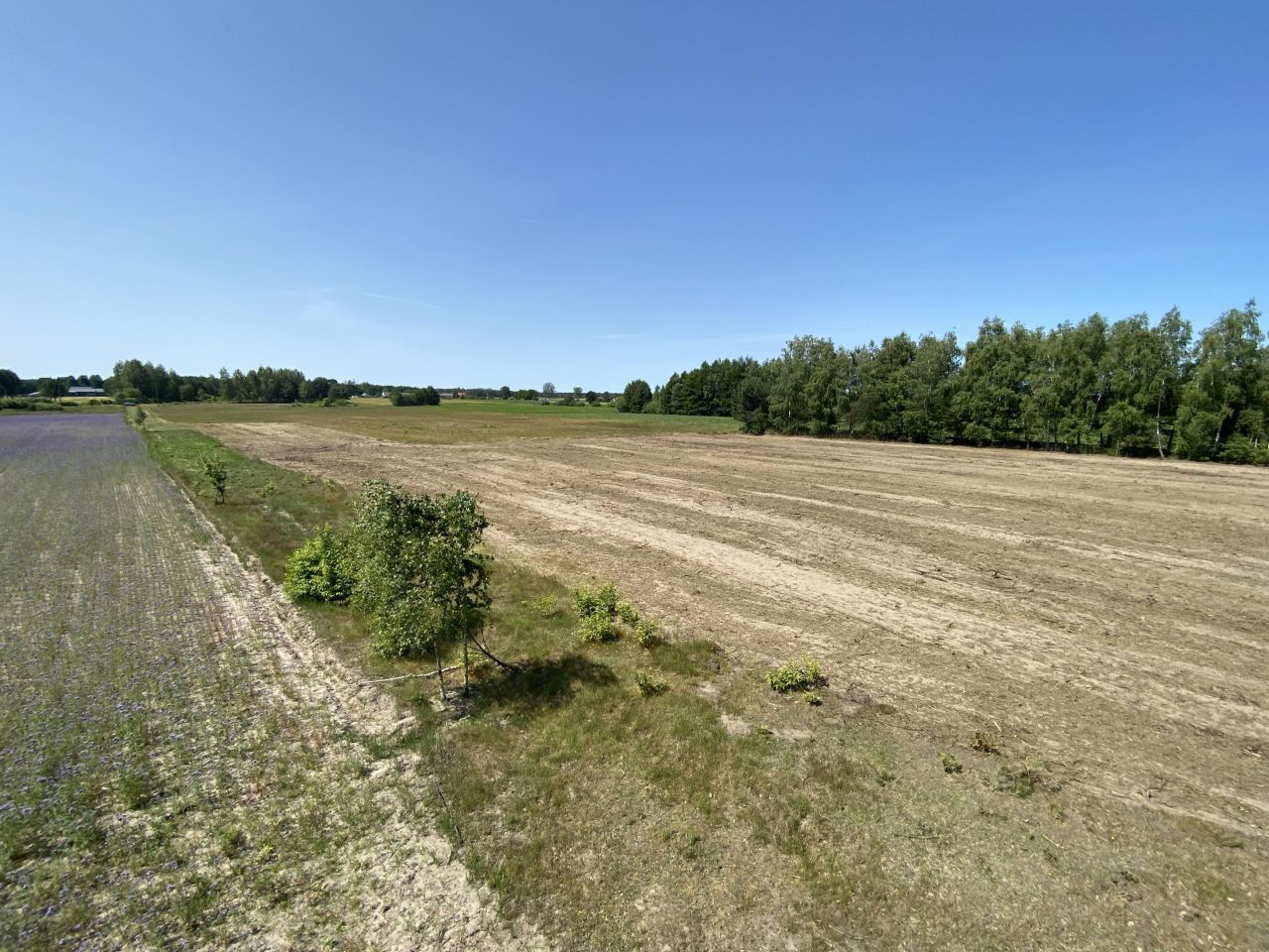 Działka budowlana Łąkie, ul. Główna. Zdjęcie 4