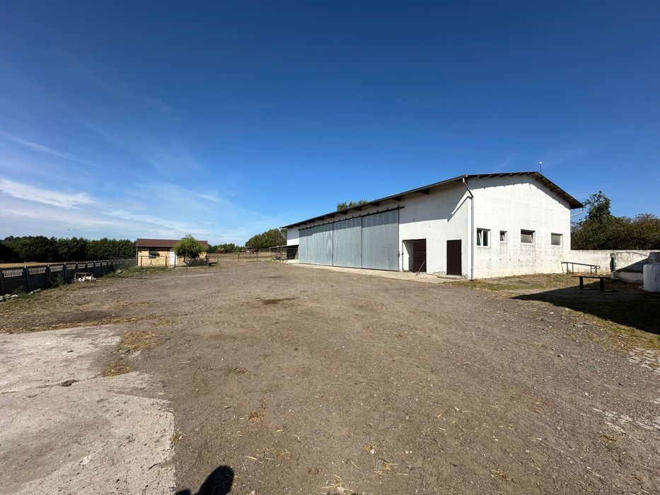 dom wolnostojący Ostrowite. Zdjęcie 6