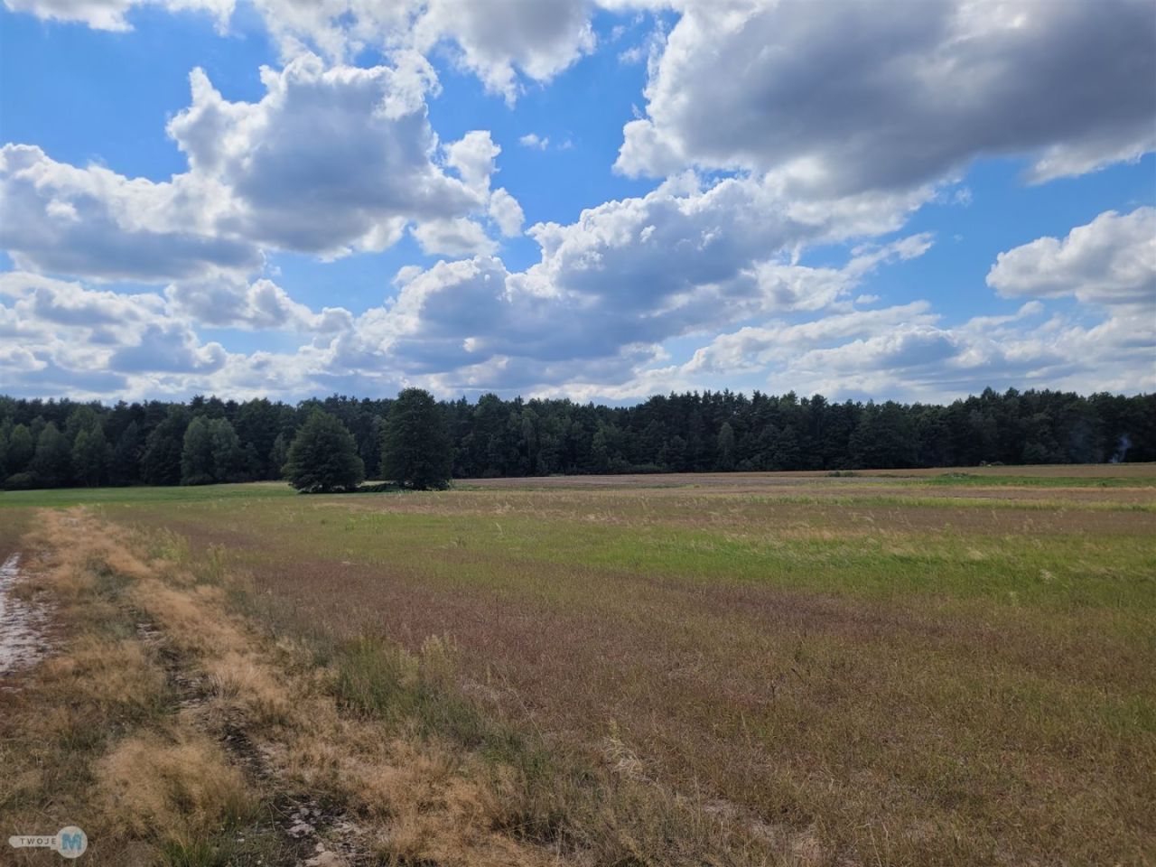 Działka rekreacyjna Stanowiska. Zdjęcie 11