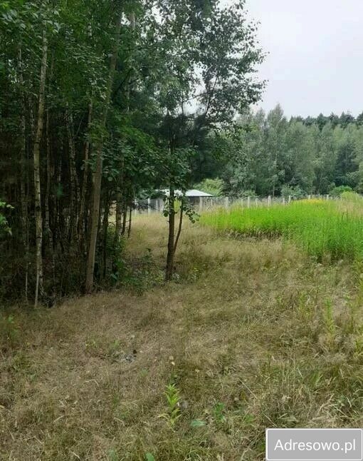 Działka siedliskowa Wólka Poznańska. Zdjęcie 4