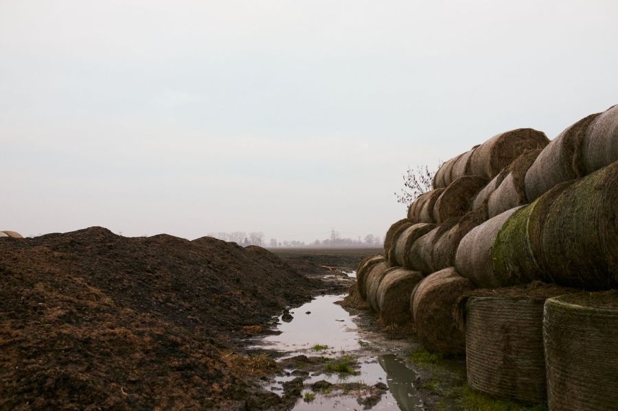 Działka budowlana Lichnowy, ul. Lachowicza. Zdjęcie 9