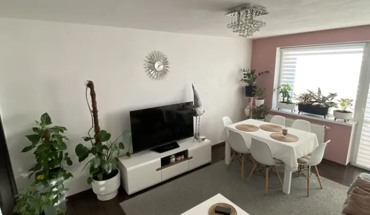 Mieszkanie 3-pokojowe Rosnowo