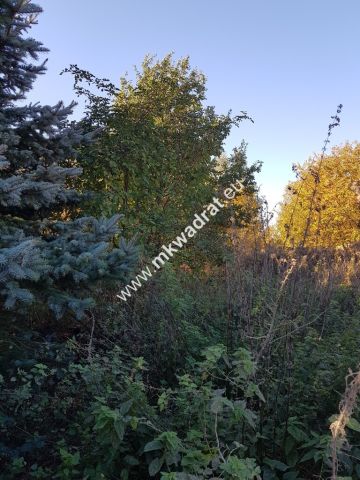 Działka budowlana Kajetany. Zdjęcie 3