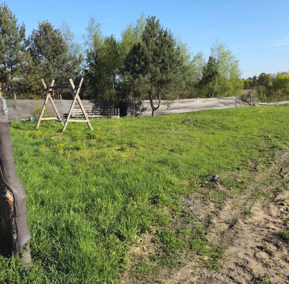 Działka budowlana Kunowice, ul. Słubicka. Zdjęcie 5