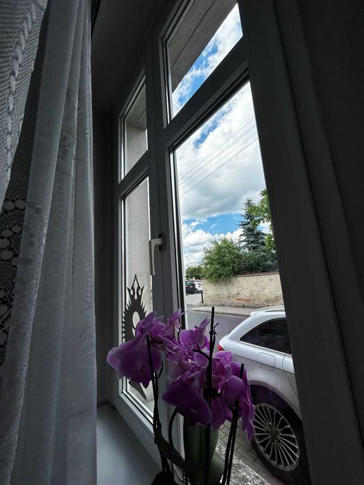 gospodarstwo Borek Wielkopolski, ul. Dworcowa. Zdjęcie 4