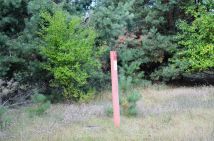 Działka siedliskowa Wrzeszczyna. Zdjęcie 1