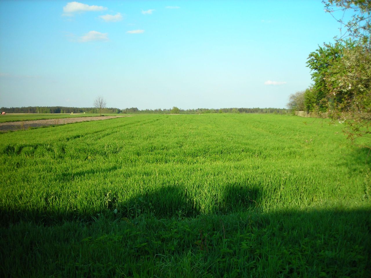 dom wolnostojący, 3 pokoje Kalinowiec. Zdjęcie 18