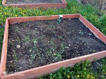 Działka rod Radom. Zdjęcie 4