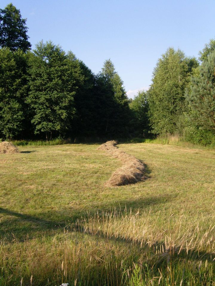 Działka inwestycyjna Kalenne. Zdjęcie 15