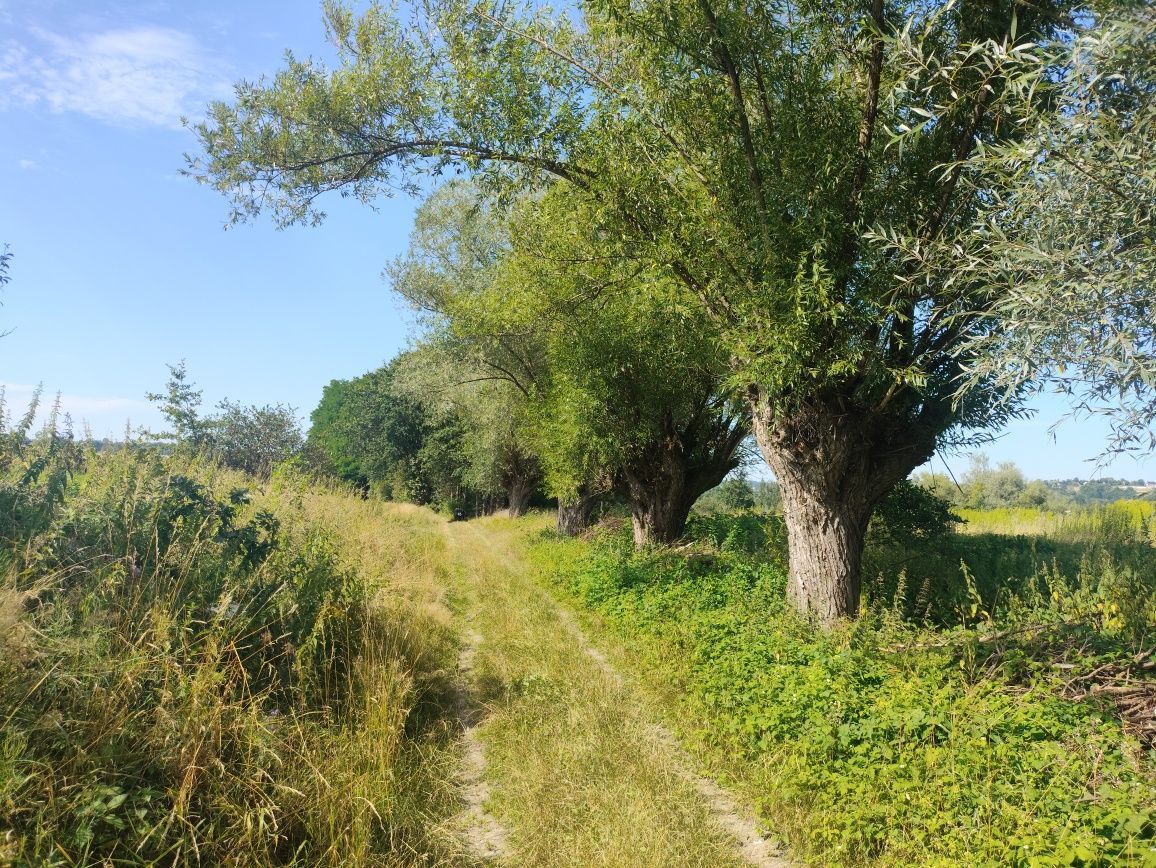 Działka budowlana Łapanów. Zdjęcie 6
