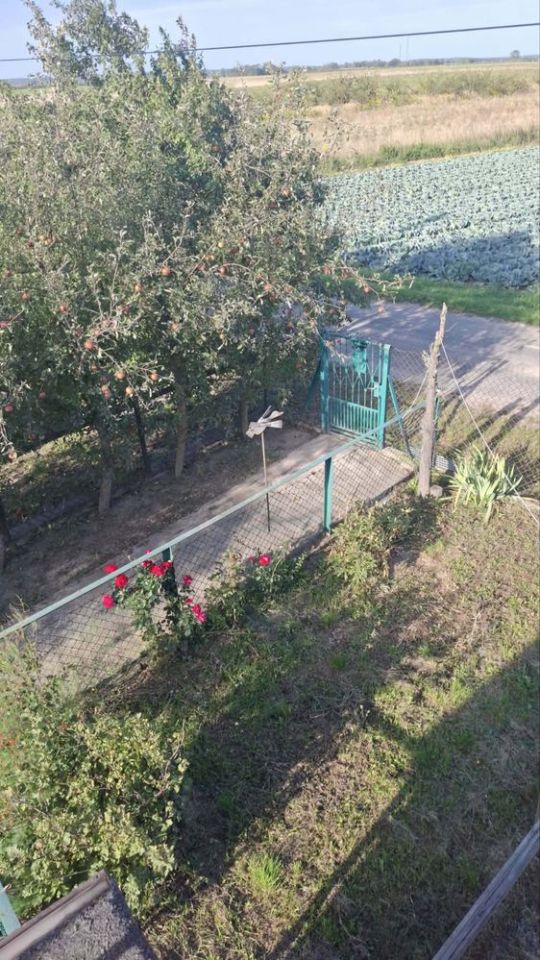 dom wolnostojący, 4 pokoje Jeziorzec. Zdjęcie 3