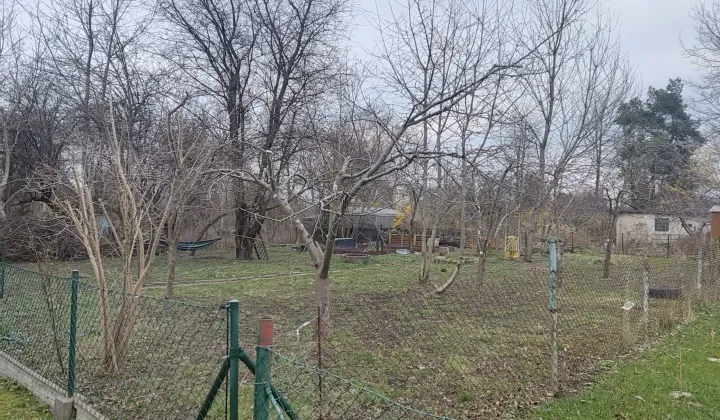 Działka rod Warszawa Saska Kępa