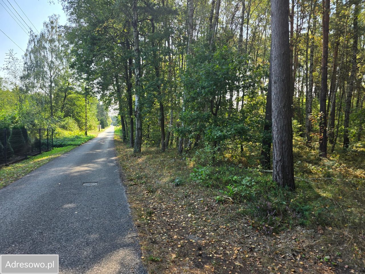 Działka budowlana Grabina Radziwiłłowska, ul. Jagodowa. Zdjęcie 4