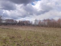 Działka rolno-budowlana Baciuty. Zdjęcie 3