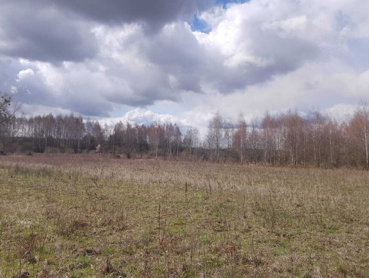 Działka rolno-budowlana Baciuty. Zdjęcie 4