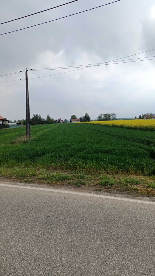 Działka rolno-budowlana Łęka Siedlecka. Zdjęcie 4
