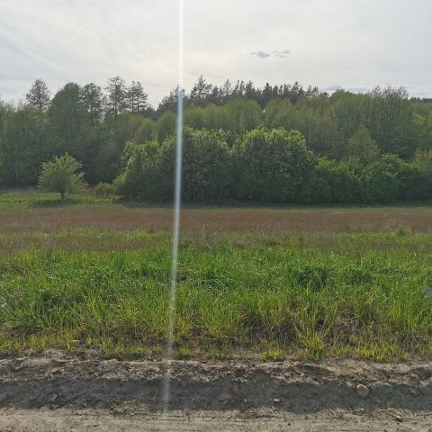 Działka budowlana Dzierzążenko. Zdjęcie 16