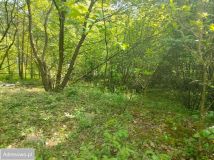 Działka rekreacyjna Nadkole. Zdjęcie 3