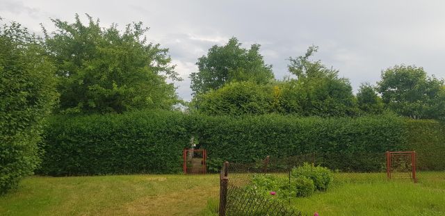 Działka rod Kraków Nowa Huta, ul. Łęgowa. Zdjęcie 1