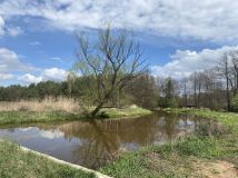 Działka rekreacyjna Szewce. Zdjęcie 1