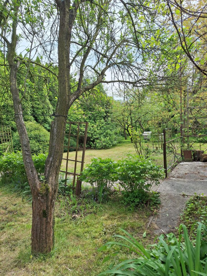 Działka rod Ostrów Wielkopolski Piaski, ul. Spichrzowa. Zdjęcie 7