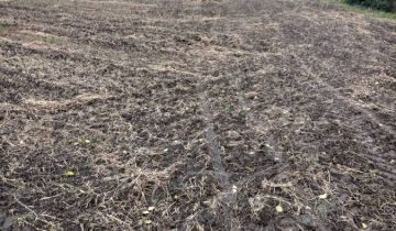 Działka budowlana Kiełkowo