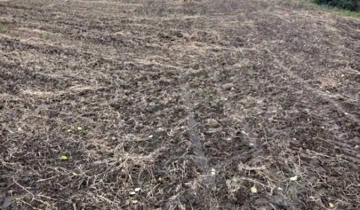 Działka budowlana Kiełkowo