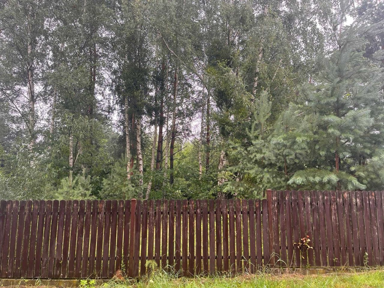 Działka budowlana Wikno. Zdjęcie 3
